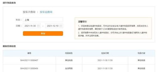 《如何在铁路12306上登记遗失物品？》 2