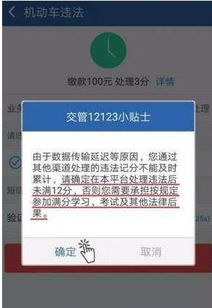 一键搞定！'交管12123'APP教你轻松缴纳违章罚款，省时又省心 3