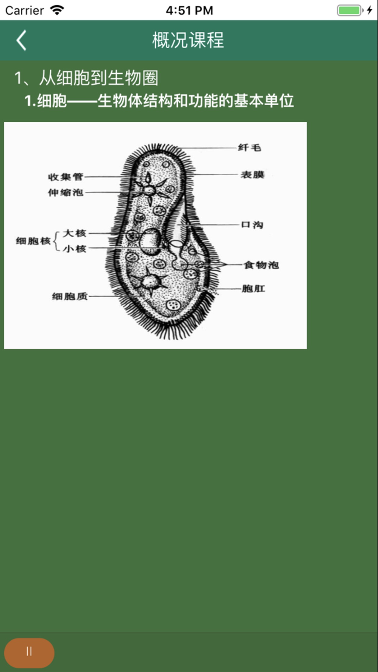 松鼠高中生物 1