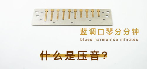 布鲁斯口琴如何学习压音技巧？ 1