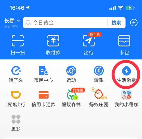 如何在支付宝轻松找到并完成生活缴费 4