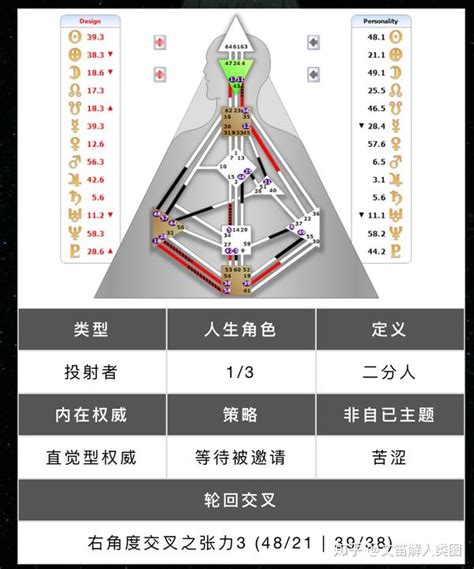 人类交配行为模式解析图 3