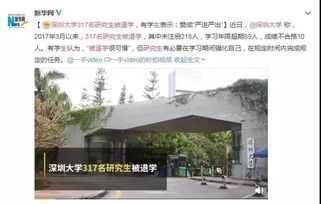 深圳大学317名研究生遭退学，如何确保研究生学业顺利？ 2