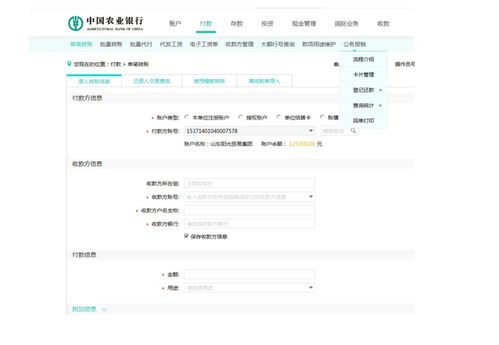 解锁农业银行企业网银高效登录秘诀，轻松管理您的财务世界！ 3