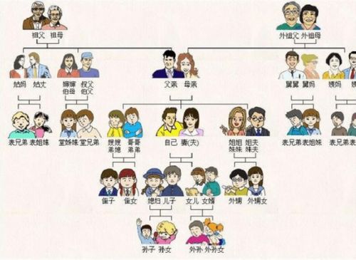 如何准确填写与本人的关系，轻松搞定各种表格 1