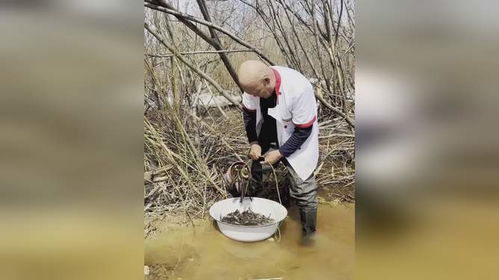 轻松学会捉泥鳅的技巧 2