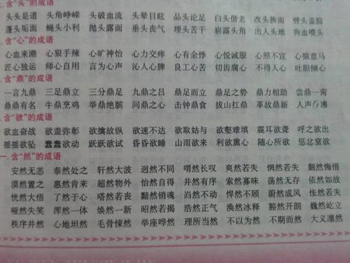 绝佳双字组合，如：既整洁又温馨 2