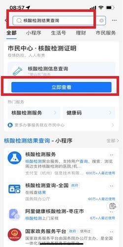如何快速在支付宝查询核酸检测报告 1