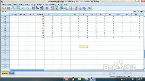 SPSS轻松打开.sav格式文件的方法（下） 4