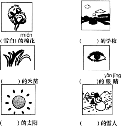 填充合适词语：什么样的微笑 4