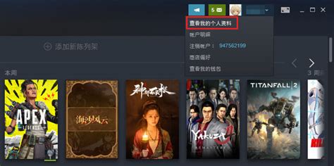 如何解决Steam库存设置为私密状态的问题 3