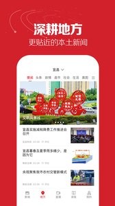 湖北日报 截图1