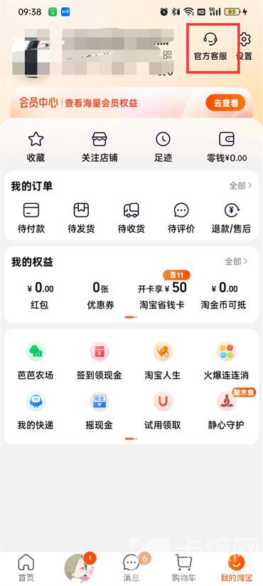 探索淘宝精选的奇妙入口：一键直达购物天堂 2