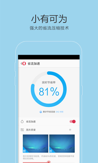 opera欧朋浏览器 截图2