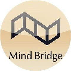 Mind Bridge官方网站链接是什么？ 3