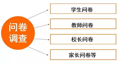 如何查询合肥市小学绿色测评分数？ 4