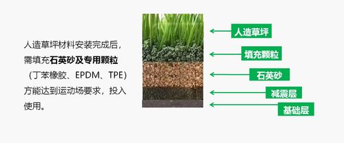 如何填充各类草坪的指南 2