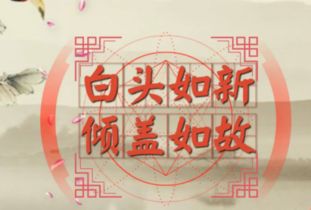 一见如故，久处仍新：解读“白发如新，倾盖如故 3