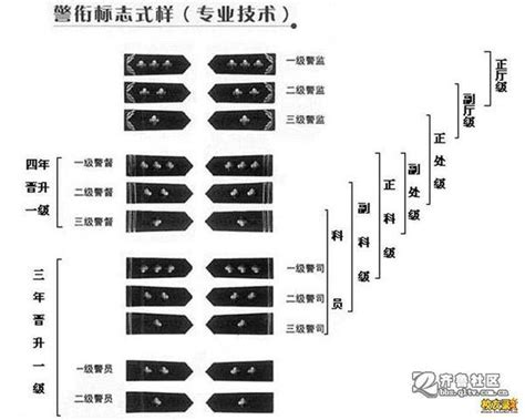 二级警长：究竟属于副科级还是正科级？ 3