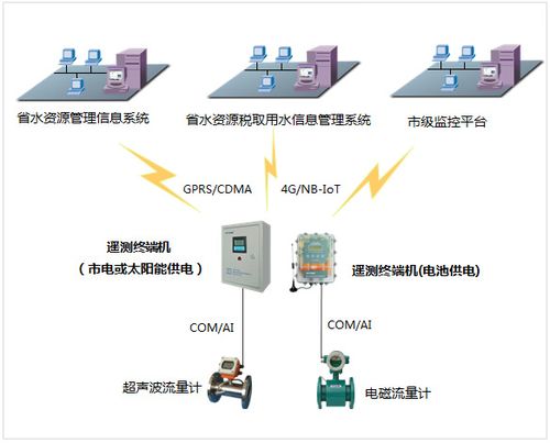 超声波探秘：能否揭开地下冬笋的隐藏面纱？ 3