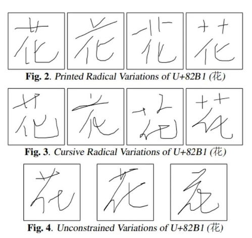 如何按顺序绘制花的笔画 2