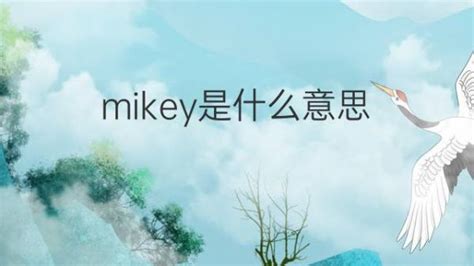 Mike英文单词的含义 1