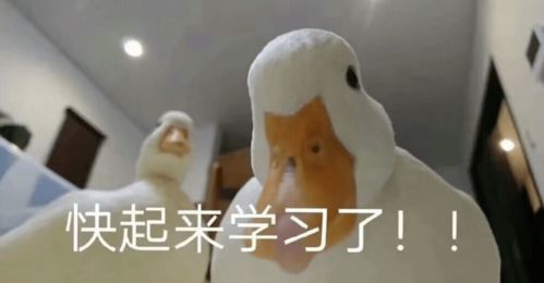 《冬日暖阳里，《想不到鸭》泡澡通关省钱大作战》 4