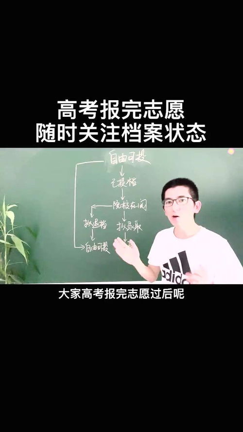 如何轻松查询志愿填报后的档案状态？ 4