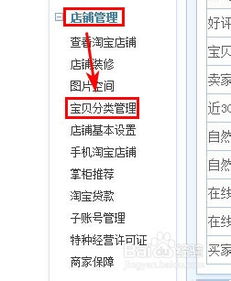 揭秘！淘宝店铺宝贝分类设置的秘密路径，轻松打造专业购物体验 3