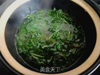 轻松学会！蒲公英茶晒干制作全攻略 3