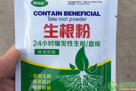 生根粉的正确使用方法 1