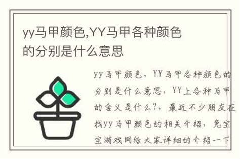 YY马甲不同颜色的含义是什么？ 1