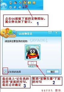 如何让QQ宠物告别自动登录，轻松管理你的登录体验 2