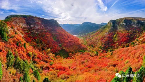 揭秘王士祯诗句深意：“几行红叶树，无数夕阳山”究竟在表达什么？ 1