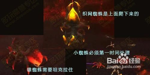 独家揭秘！《魔兽世界》4.2版本最全副本通关秘籍，你准备好了吗？ 2