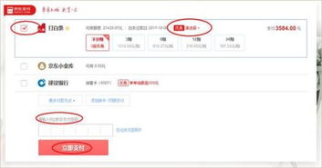 京东白条支付教程：轻松学会如何付款 3
