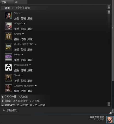 CSGO好友添加教程及与好友组队畅玩指南 5