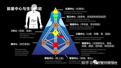 人类交配行为模式解析图 2