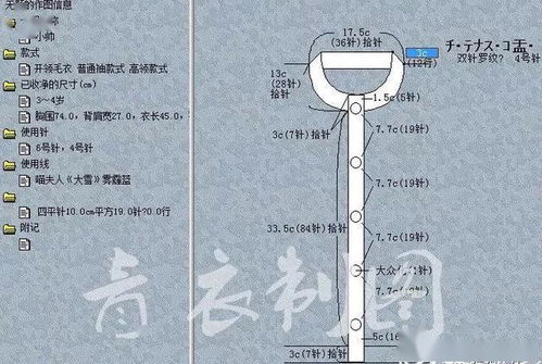 揭秘针女：起源、应用与适用场景全解析 2