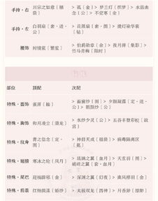 《无限暖暖伙伴节：趣味邀约攻略与见闻集锦》 3