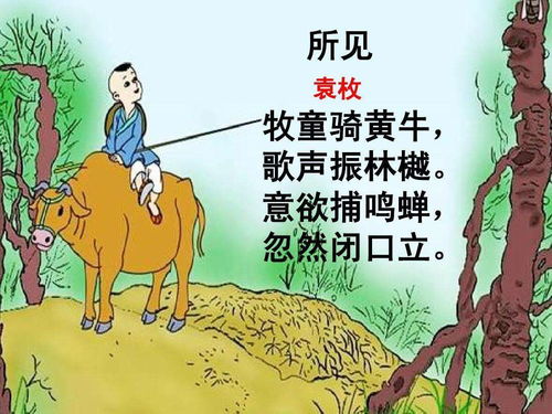 揭秘“安土重迁”的真正含义 4