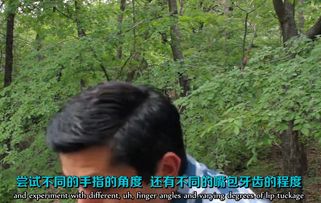 如何学习吹口哨？ 1