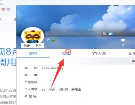 如何在YY中给黄马设置满权限？ 2