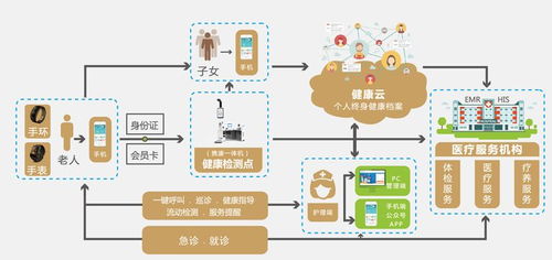 打造高效健康档案：建立与管理的全面指南 4