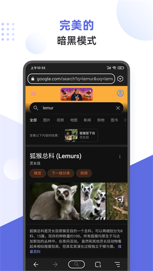 狐猴浏览器旧版本 截图1