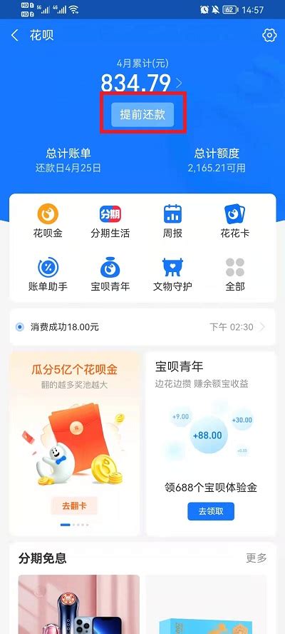 轻松掌握：花呗还款全攻略 3