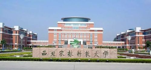 江苏科技大学信息门户系统：为何登录成难题？ 2