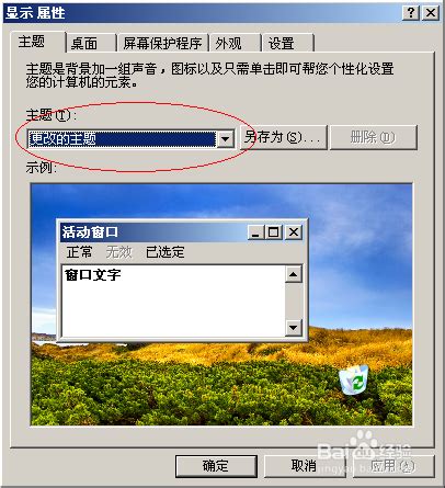 Windows Vista x64系统下更改桌面主题的方法 3