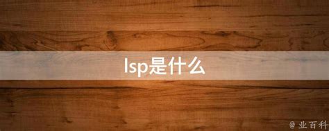 请问'lsp'是什么意思，具体指什么？ 4