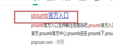 探索国内访问Proumb的巧妙方法 3